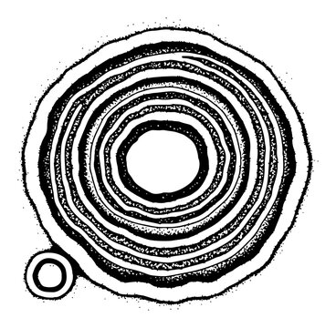 Abstract hand drawn concentric circle pattern resembling tree rings or sound waves