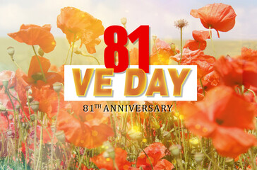 V-E Day 81th Anniversary 8 May, greeting card or web banner. Victory in Europe Day banner or poster