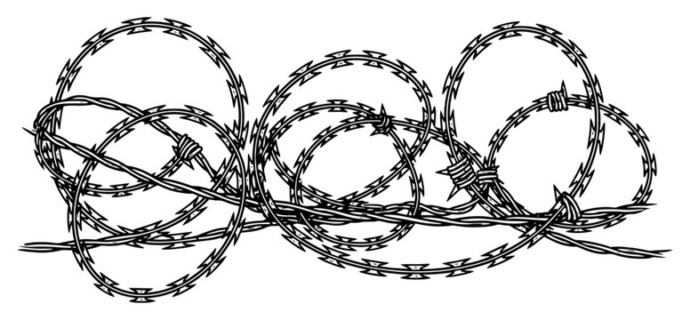 Sharp razor wire coils and barbed wire fence illustration in hand drawn vintage engraving style