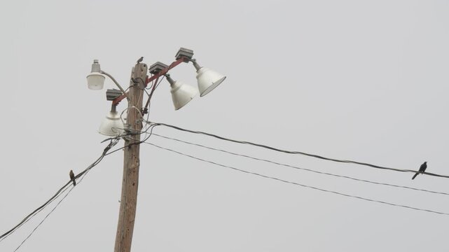 Sports field floodlights on wooden pole.