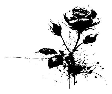 Elegant rose flower with buds in artistic black ink splatter style