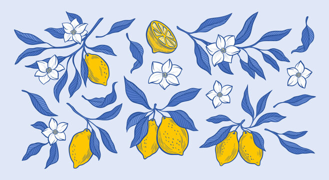 Amalfi Lemon Branches Vector Collection of Yellow Fruits with Flower Blossom, Blue Leaves Summer Citrus Illustration, Hand Drawn Botanical Foliage Sicilian Italian Mediterranean Design Elements Set