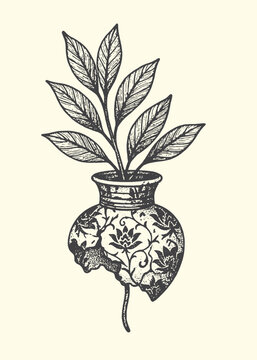 Vintage botanical illustration design featuring a growing plant emerging from a beautifully ornate but damaged antique ceramic vase
