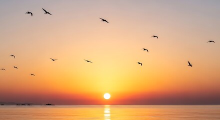 Sunset over calm sea with flying birds.