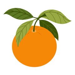 Whole orange with leaves. Fresh juicy citrus fruit. Perfect for food design, packaging, menu and healthy lifestyle themes. Healthy food concept. Vector illustration isolated on white background.
