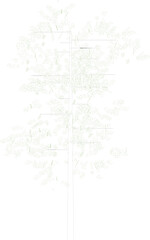Obraz premium Technical landscape architectural plan showing site layout with vegetation areas, pathways and structural elements in light line drawing format.