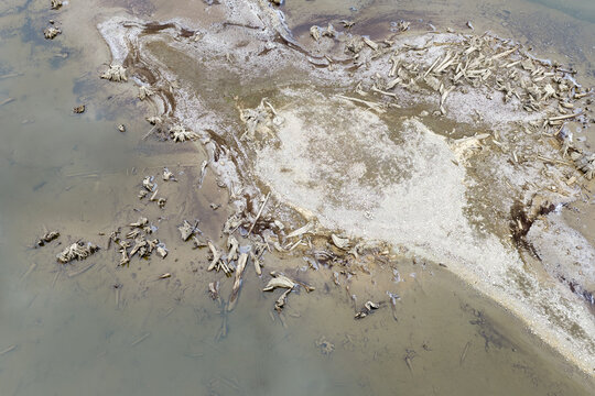 Aerial View of Driftwood Covered Mudflat Shoreline Along a Low River in BC, Canada
