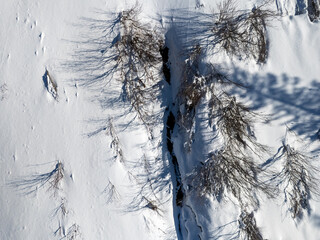 Aerial Winter Landscape With Snow-Covered Trees And Narrow Creek Casting Long Shadows In BC, Canada