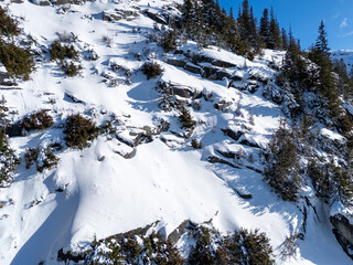 Snow-Covered Rocky Mountain Slope With Evergreen Trees Under Clear Blue Sky in BC, Canada
