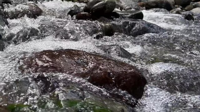 River in the Forest, River Tourism in the Jambewangi Area, Banyuwangi East Java, Indonesia