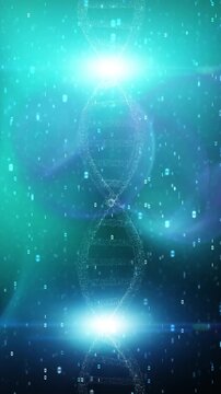 Glowing DNA double helix made of light particles with floating binary numbers on blue digital background, symbolizing genetics, science and data driven biology. Seamless looping vertical.