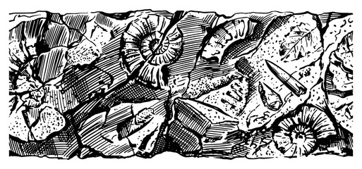 Fossils and ancient artifacts embedded in stone in vintage engraving style © Celestynka