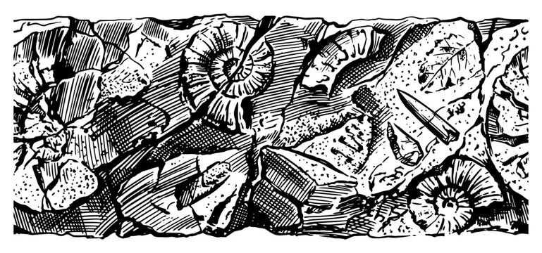 Fossils and ancient artifacts embedded in stone in vintage engraving style