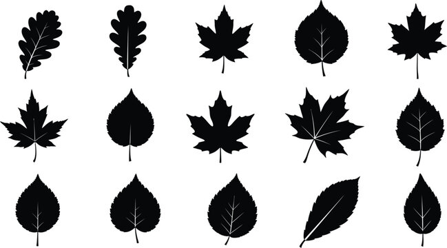Collection of various leaf silhouettes