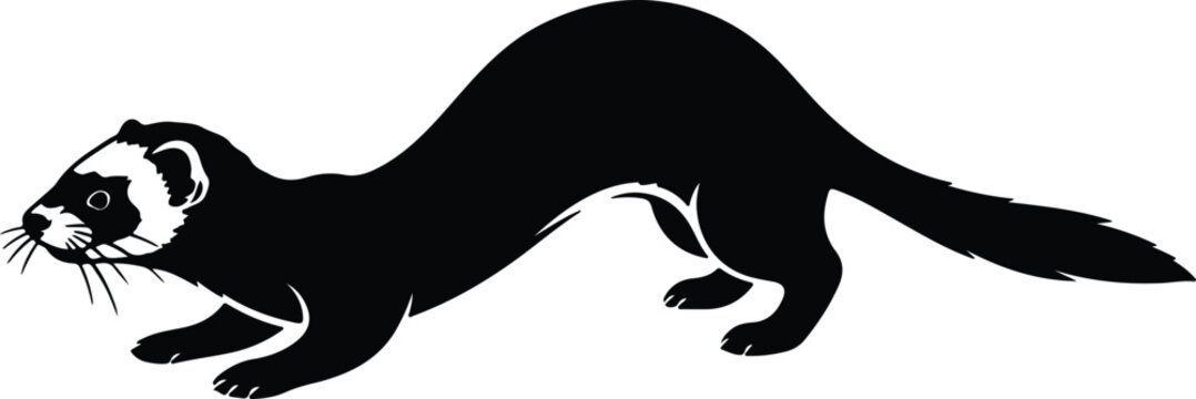 Vector black ferret weasel animal on white background silhouette design