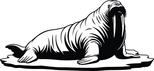Vector powerful walrus on ice floe mammal silhouette design © Tamjida Alam
