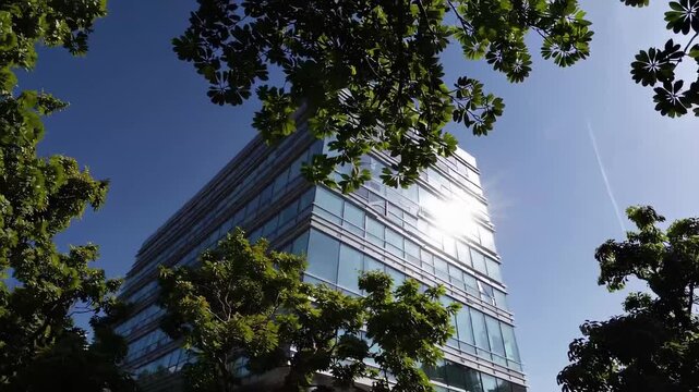 A modern glass office rises behind leafy branches under a clear blue sky, sunlight glinting on reflective windows while a faint jet trail cuts across, framing an urban scene with fresh greenery.