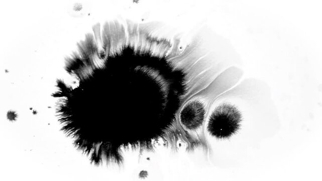 ink for vidio beground animation tool