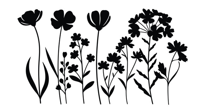 A beautiful illustration of various flowers with long stems and leaves