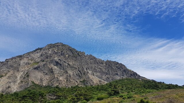 하늘 전체를 덮은 촘촘한 물결 모양의 권적운 구름 텍스처