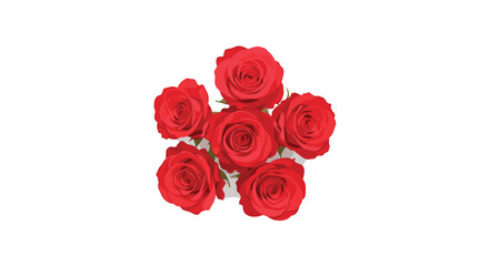Fototapeta premium Six vibrant red roses with fully bloomed petals are meticulously arranged in a circular cluster, viewed from above on a pristine white surface.