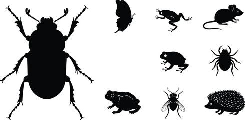 Animal and insect silhouette collection featuring beetle, butterfly, frog, mouse, spider, fly, and hedgehog isolated vector wildlife set © Arman World