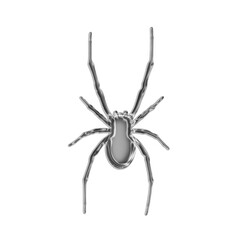 Glass spider insect arachnid bug animal creepy halloween fear isolated on white
