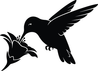Vector silhouette hummingbird feeding on flower nectar for nature design silhouette design © Ummei