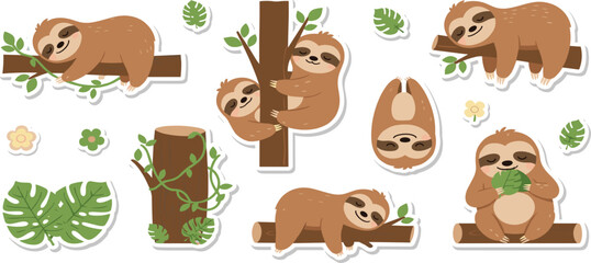 Fototapeta premium Cute Sloth Sticker Set with Tree Branches Tropical Leaves and Adorable Jungle Animal Cartoon Vector Illustration Collection