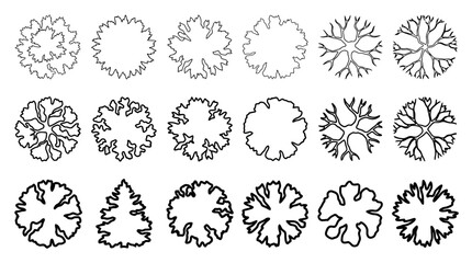 Top View Tree Symbols for Architectural Design and Landscape Planning © Rishi