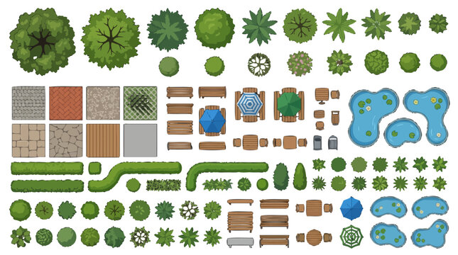 Top-down view of landscape design elements and garden plants