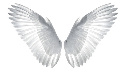 Obraz premium Resilience Steel-Edge wings mockup isolated on transparent background