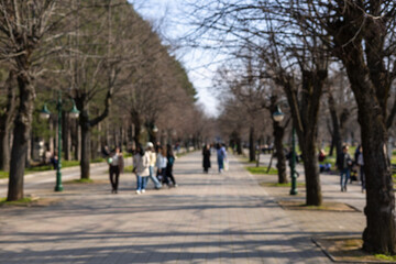 blurred shot of a sunny park alley with people walking between rows of bare spring trees, creating a soft urban lifestyle background for copy space