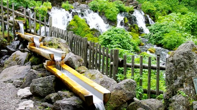 初夏の湧水　北海道京極町の羊蹄山の伏流水の湧き出し公園