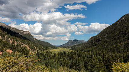 Obraz premium Approaching Storm Clouds Over Alpine Meadow and Pine Forest