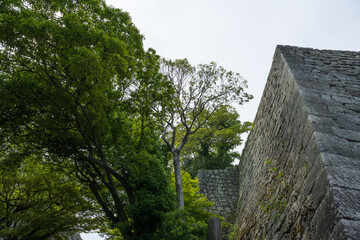 Obraz premium Marugame Castle, Kagawa, a famous landmark