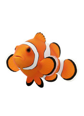 白い背景にオレンジと白の縞模様が特徴の熱帯魚、カクレクマノミが正面を向いて泳ぐ姿を捉えたスタジオ撮影写真。水族館や海洋生物のテーマ、子供向けデザインに最適な、鮮やかでリアルな一枚。