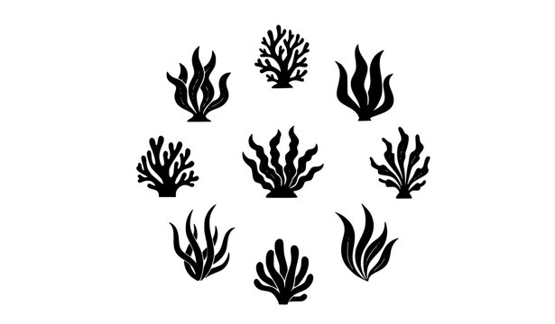 Marine reef flora silhouettes vector set with underwater seaweed algae and aquatic plants isolated on transparent background