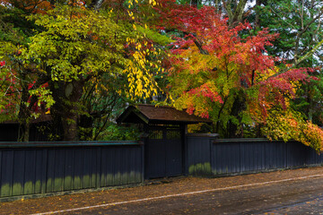 Obraz premium 日本の風景・秋 秋田 紅葉の角館武家屋敷通り