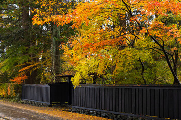日本の風景・秋　秋田　紅葉の角館武家屋敷通り