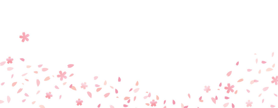 Sakura petals falling down. Romantic pink flowers gradient. Falling petals on white background. Love, romance concept. Artistic vector illustration.