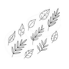 Fototapeta premium Collection of HandDrawn Leaf Illustrations for Design 1.