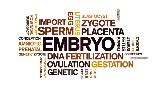 Embryo animated word cloud-text design animation tag kinetic typography seamless loop.