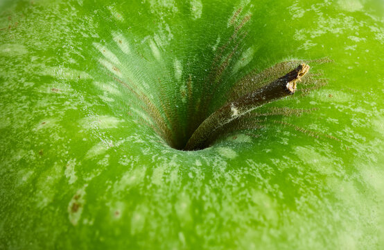 Macro Detail of Green Apple Stem and Skin
