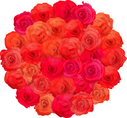Naklejka premium Round bouquet of red roses