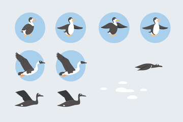 Obraz premium Stylized puffin illustrations depicting flight and swimming motions in sequence