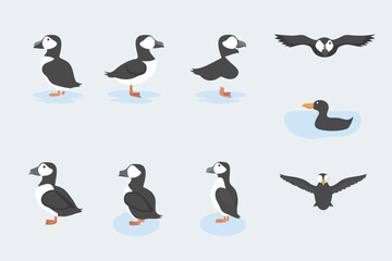Fototapeta premium Stylized puffins and a duck in various poses against a pale background