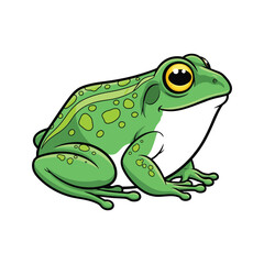 Obraz premium A cute green tree frog with large eyes sitting isolated on a white background in a macro nature wildlife illustration
