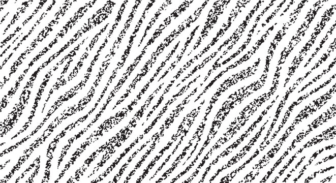 A high-contrast animal print background featuring diagonal zebra stripes with a heavy grainy, speckled texture for a distressed organic look.