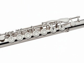 A close-up view of a silver flute with a black case on a white background